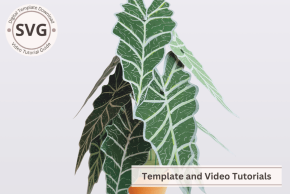 Download Paper Plant Alocasia SVG &amp; PDF Template - Pdf template Collection